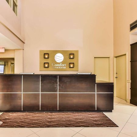 Comfort Inn & Suites Ambassador Bridge Windsor Exteriör bild