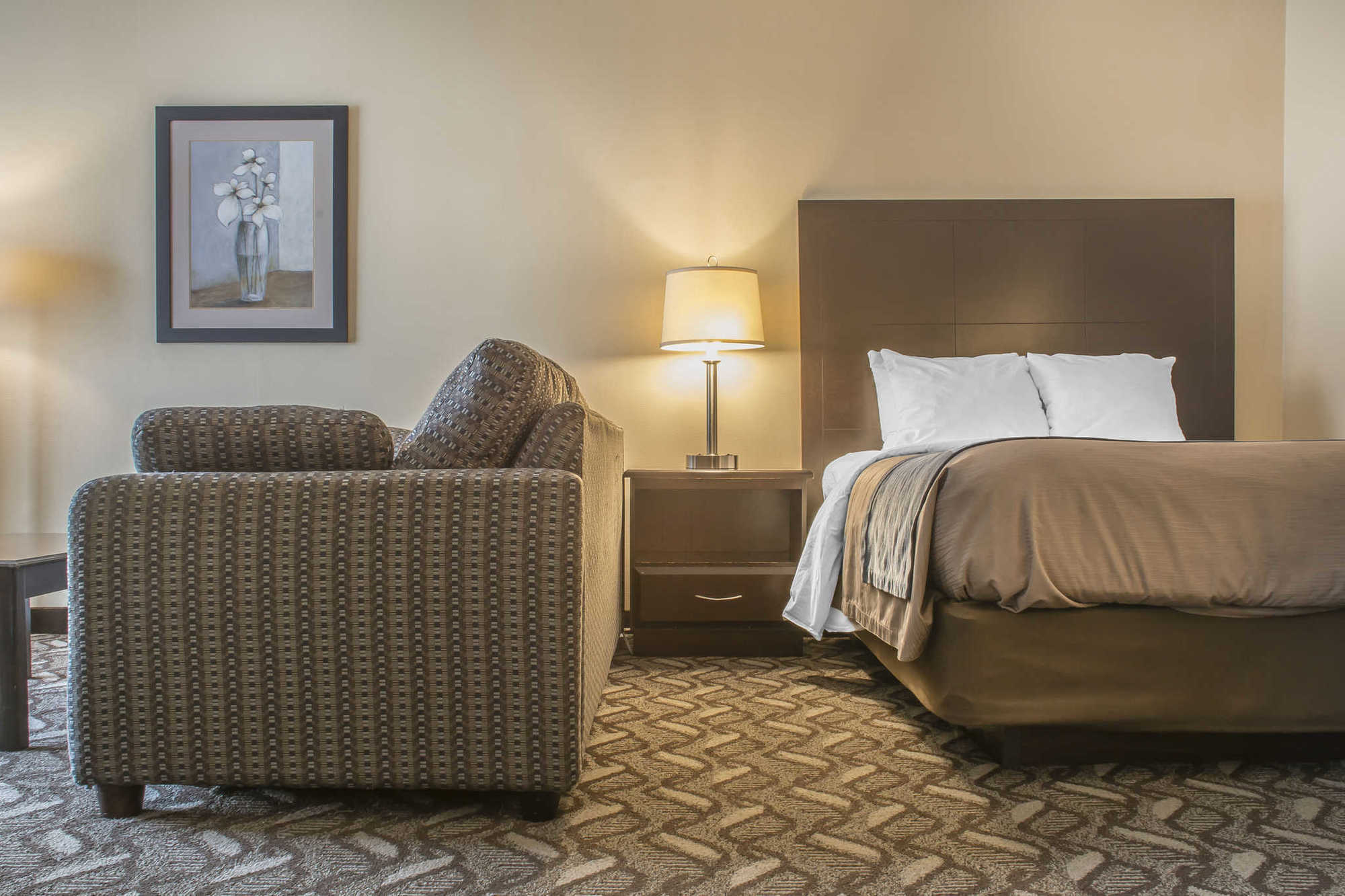 Comfort Inn & Suites Ambassador Bridge Windsor Rum bild