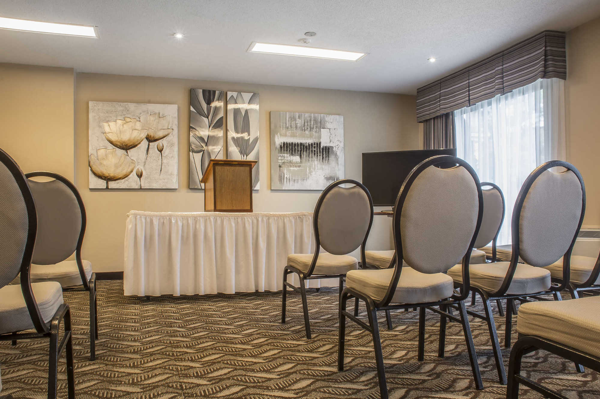 Comfort Inn & Suites Ambassador Bridge Windsor Bekvämligheter bild