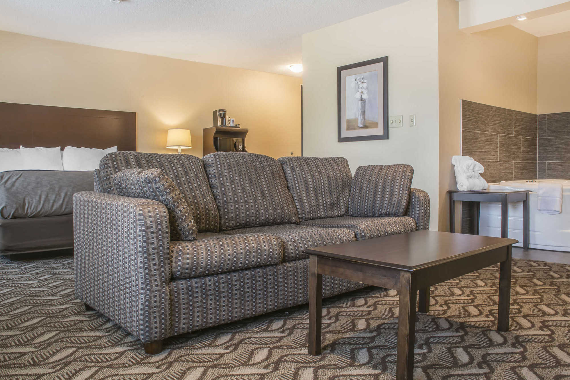 Comfort Inn & Suites Ambassador Bridge Windsor Rum bild