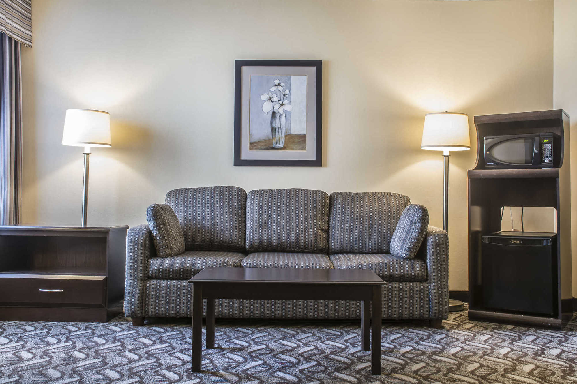 Comfort Inn & Suites Ambassador Bridge Windsor Rum bild