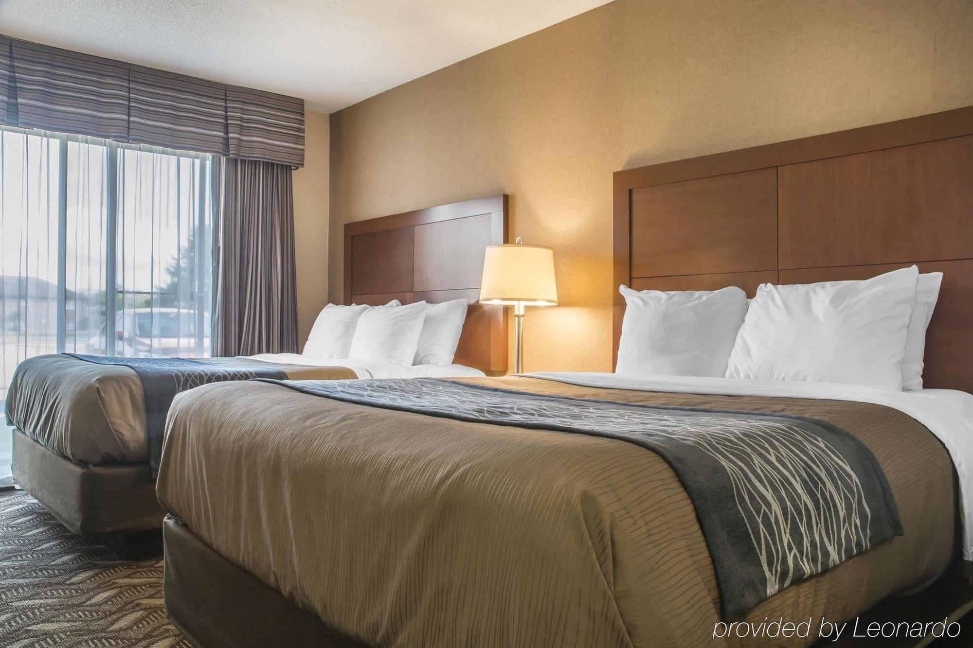 Comfort Inn & Suites Ambassador Bridge Windsor Exteriör bild